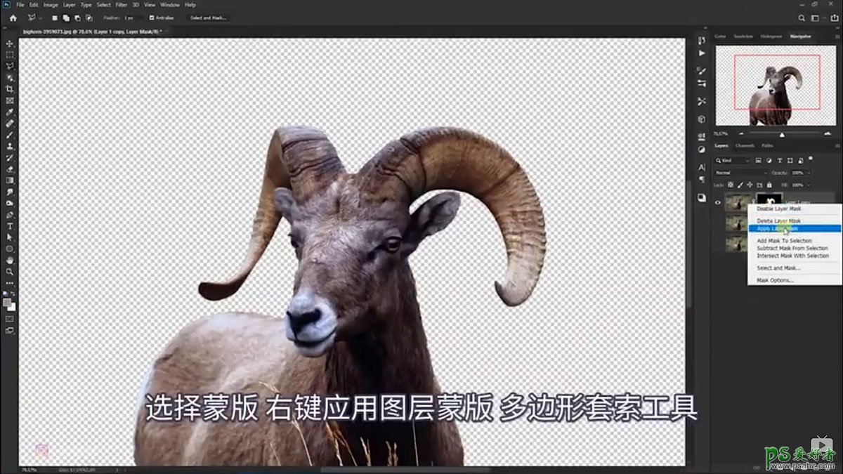 Photoshop创意合成一头发光的野山羊，羊角发光的山羊。