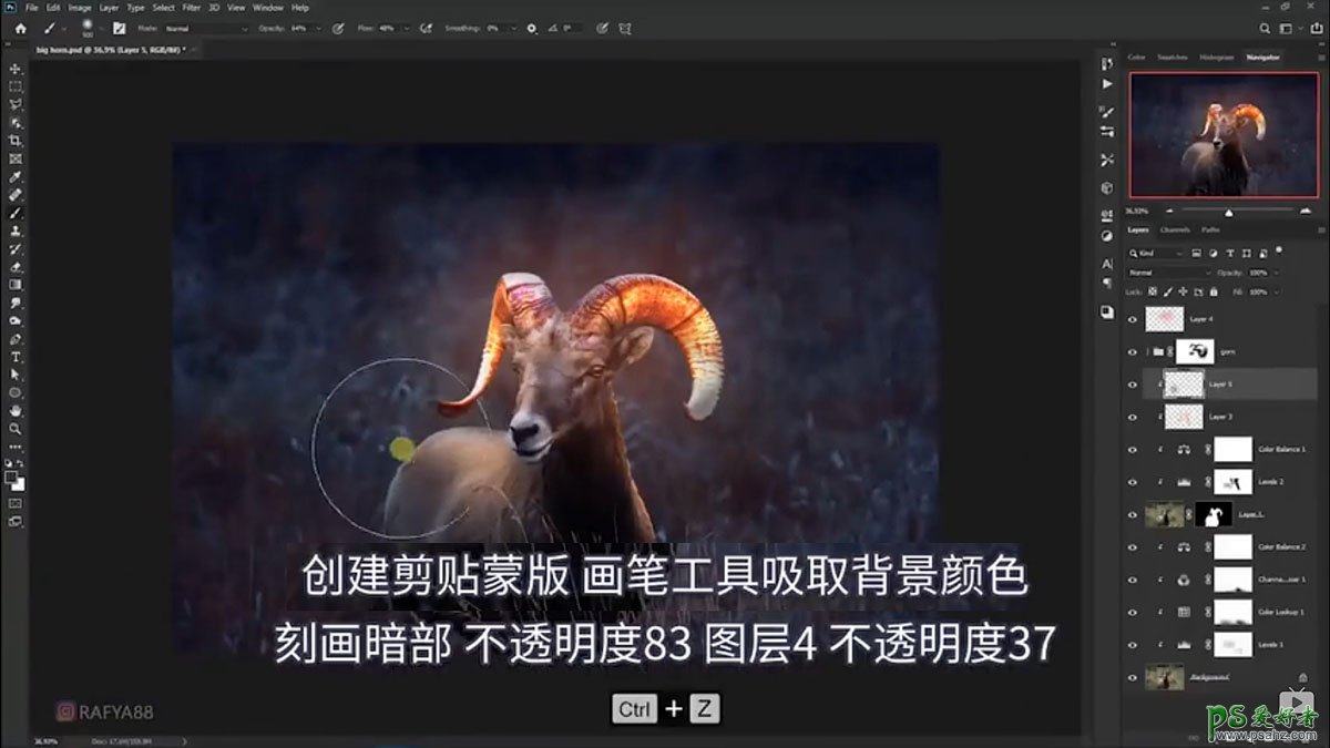 Photoshop创意合成一头发光的野山羊，羊角发光的山羊。