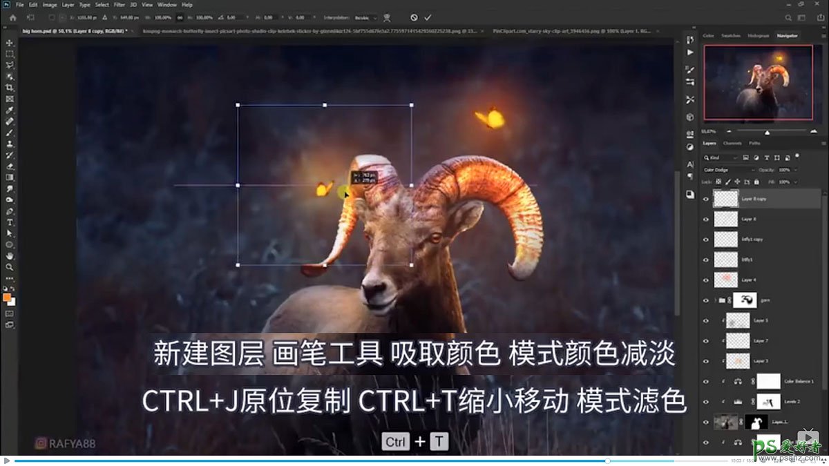 Photoshop创意合成一头发光的野山羊，羊角发光的山羊。