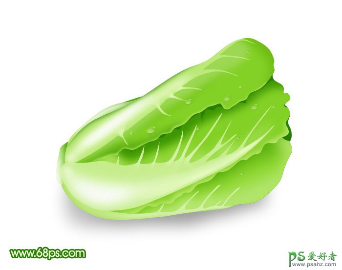 PS实例教程：制作一颗翠绿新鲜的白菜失量图片素材