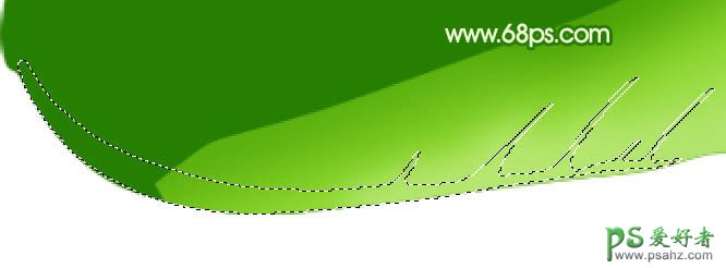 PS实例教程：制作一颗翠绿新鲜的白菜失量图片素材