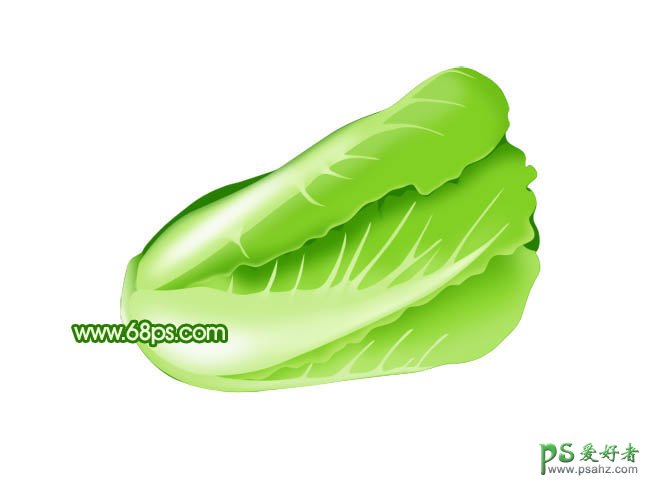 PS实例教程：制作一颗翠绿新鲜的白菜失量图片素材