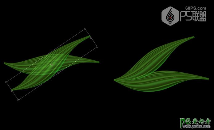 PS花朵绘制教程：打造一个漂亮的绿色荧光花朵失量图素材