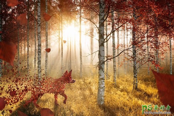 唯美意境风格的秋韵合成设计作品欣赏，秋天树林风景与动物合成