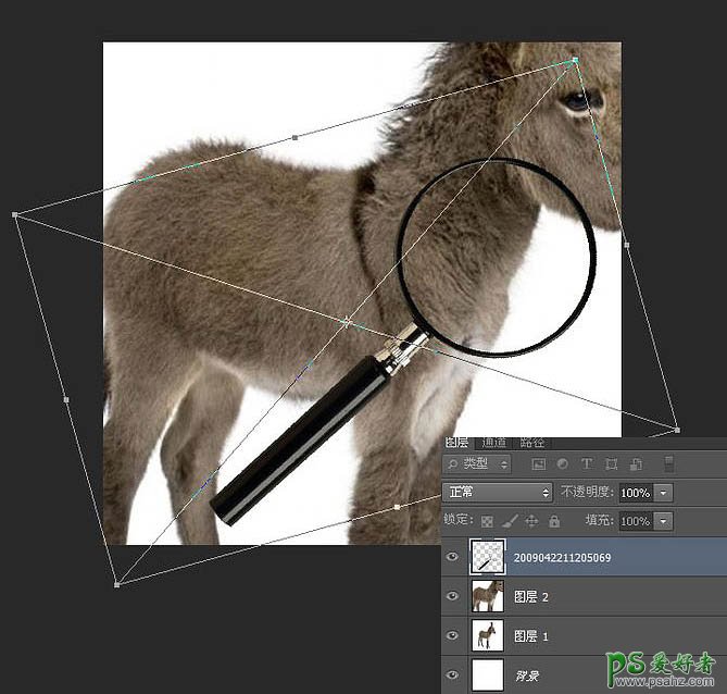 PS动态图片制作教程：制作有意思的放大镜扫描小毛驴图片动画效果