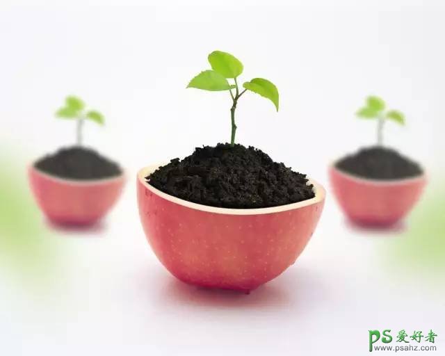 PS场景合成实例：创意打造从半个苹果中生长出来的绿色植物场景。