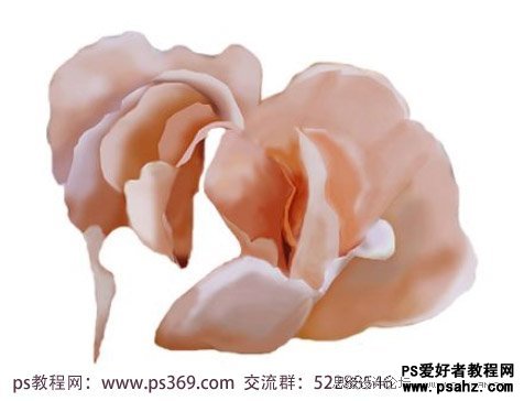 Photoshop绘制母亲节逼真的康乃馨花朵