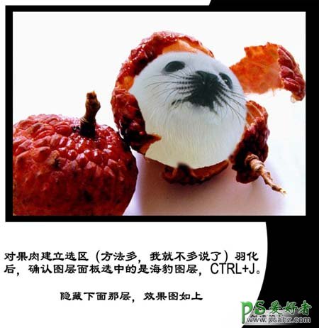 photoshop创意合成可爱的海豹脸型水果