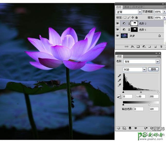 Photoshop软件结合CR打造唯美意境风格的夜色荷花效果图