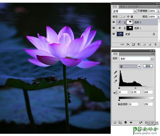 Photoshop软件结合CR打造唯美意境风格的夜色荷花效果图