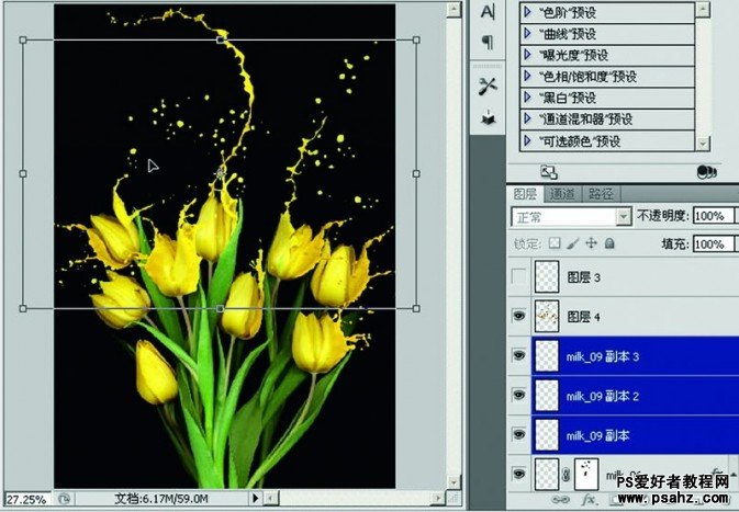 photoshop合成奶油喷溅效果的郁金香图片
