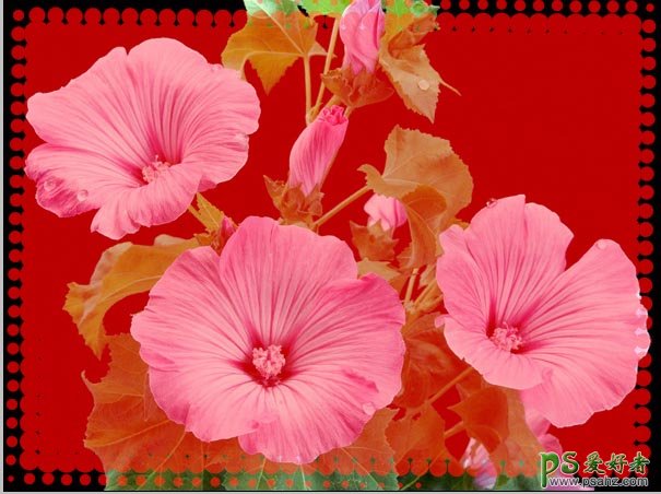 PS给漂亮的花蕾图片素材制作可爱的边框