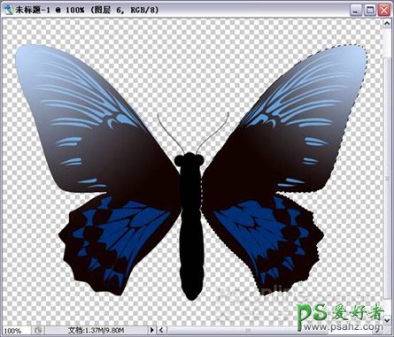 PS鼠绘教程：给美女照片背景绘制出漂亮的蓝色蝴蝶