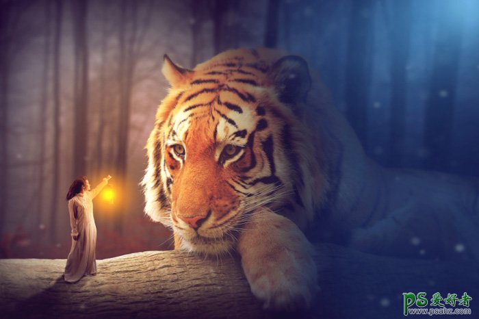 Photoshop创意合成夜色森林中唯美女孩儿与巨型老虎互动的场景