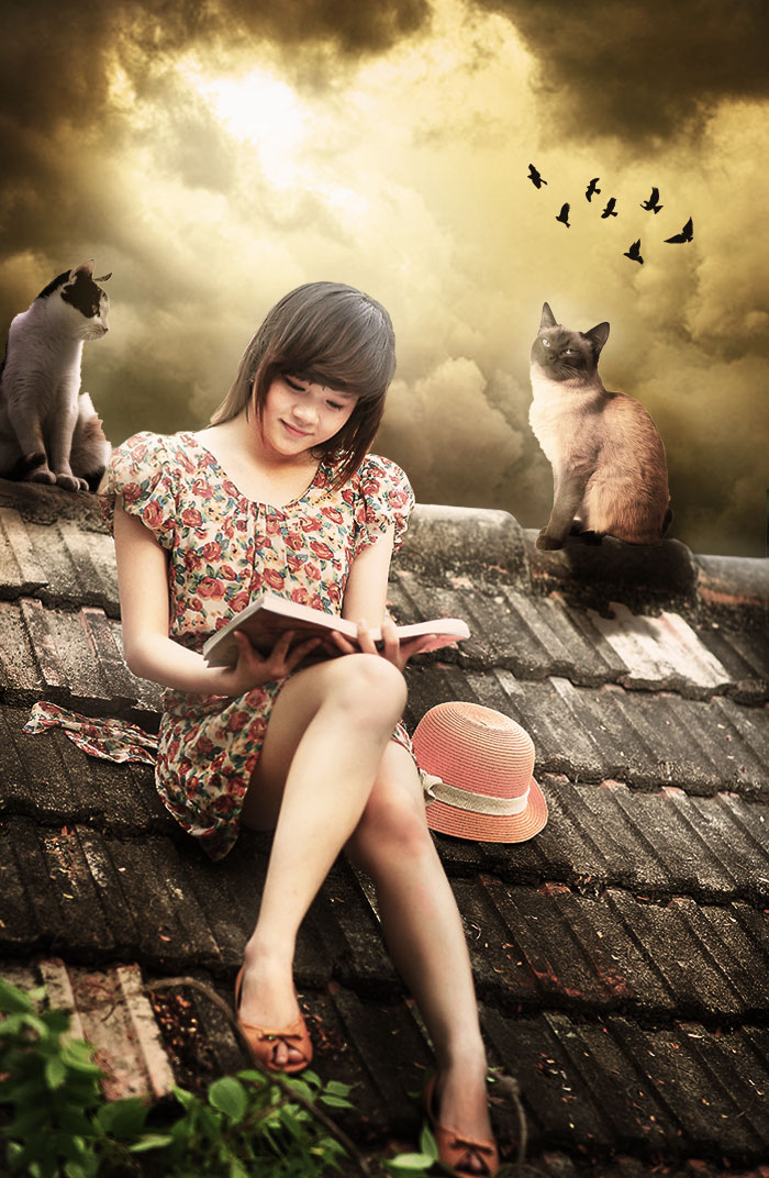PS人像合成教程：给屋顶上看书的少女换一个天空送两只猫咪陪伴。