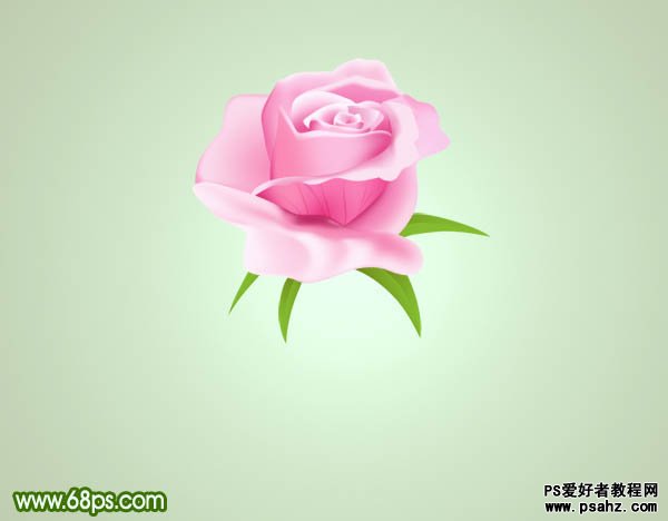 photoshop鼠绘新鲜粉嫩的玫瑰花