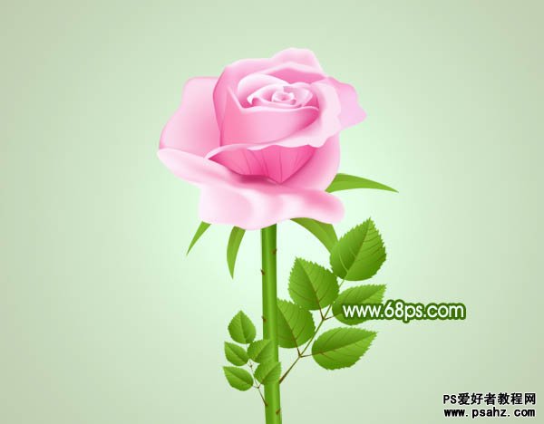 photoshop鼠绘新鲜粉嫩的玫瑰花