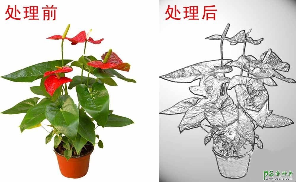 PS照片后期教程：给鲜艳的花卉照片制作成质感的金属画效果