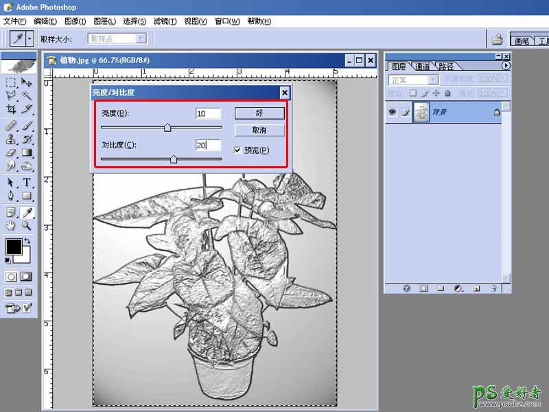 PS照片后期教程：给鲜艳的花卉照片制作成质感的金属画效果