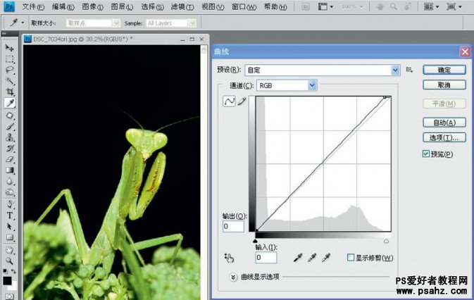 PS摄影后期修饰教程：简单的反相让螳螂图片变通透