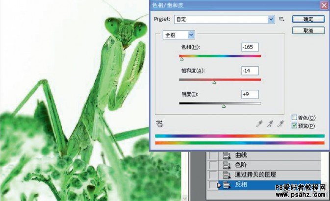 PS摄影后期修饰教程：简单的反相让螳螂图片变通透