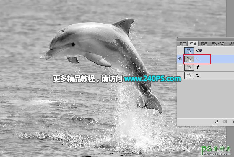 利用Photoshop通道及调色工具快速把跃出水面的海豚素材图片