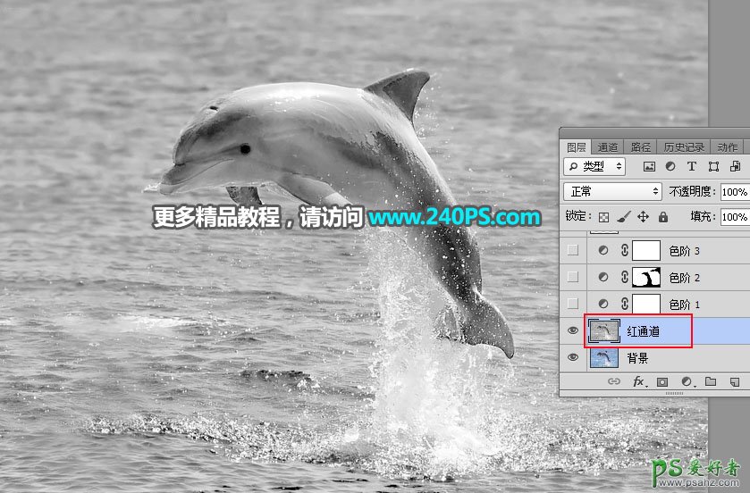 利用Photoshop通道及调色工具快速把跃出水面的海豚素材图片