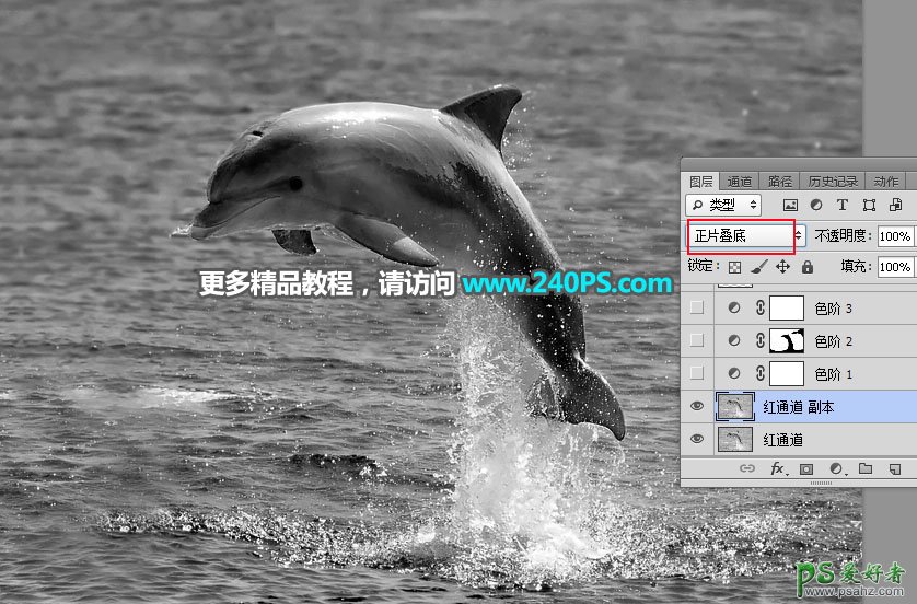 利用Photoshop通道及调色工具快速把跃出水面的海豚素材图片