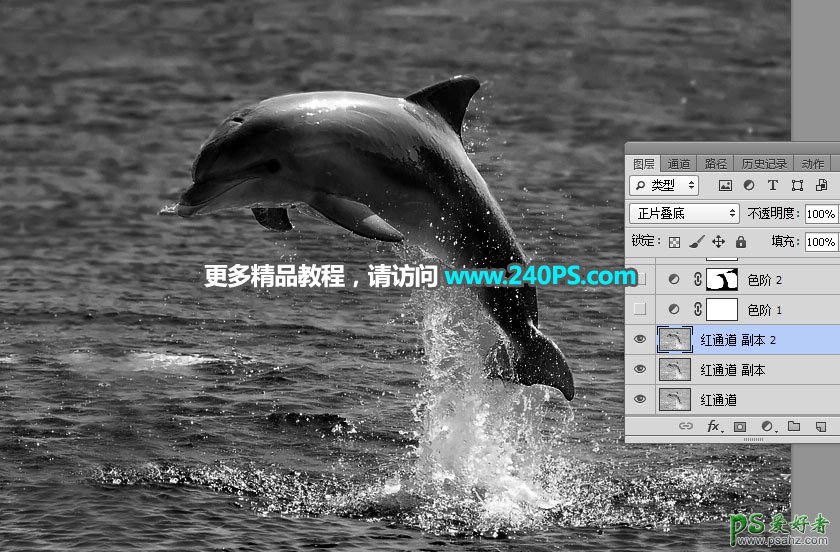 利用Photoshop通道及调色工具快速把跃出水面的海豚素材图片