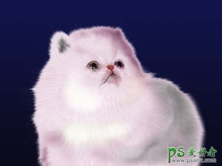 PS鼠绘教程：用绘漂亮可爱的白色小猫，波斯猫失量图素材