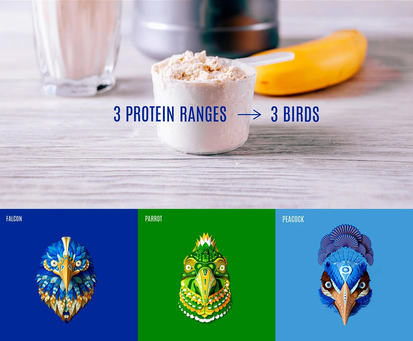 欣赏一组国外精美的食品包装设计作品，Birdman植物蛋白食物包装