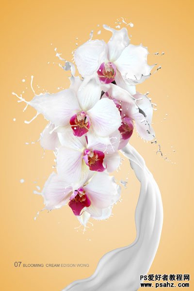 Photoshop创意合成漂亮的牛奶花朵，牛奶蝴蝶兰
