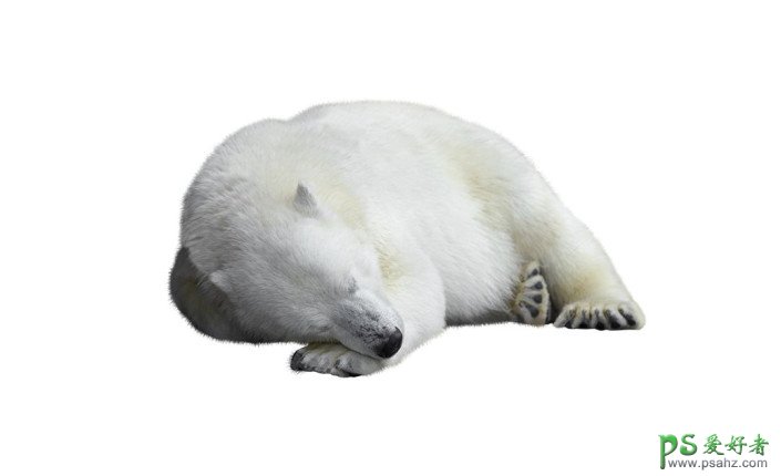 Photoshop合成一头融化效果的北极熊特效图片。