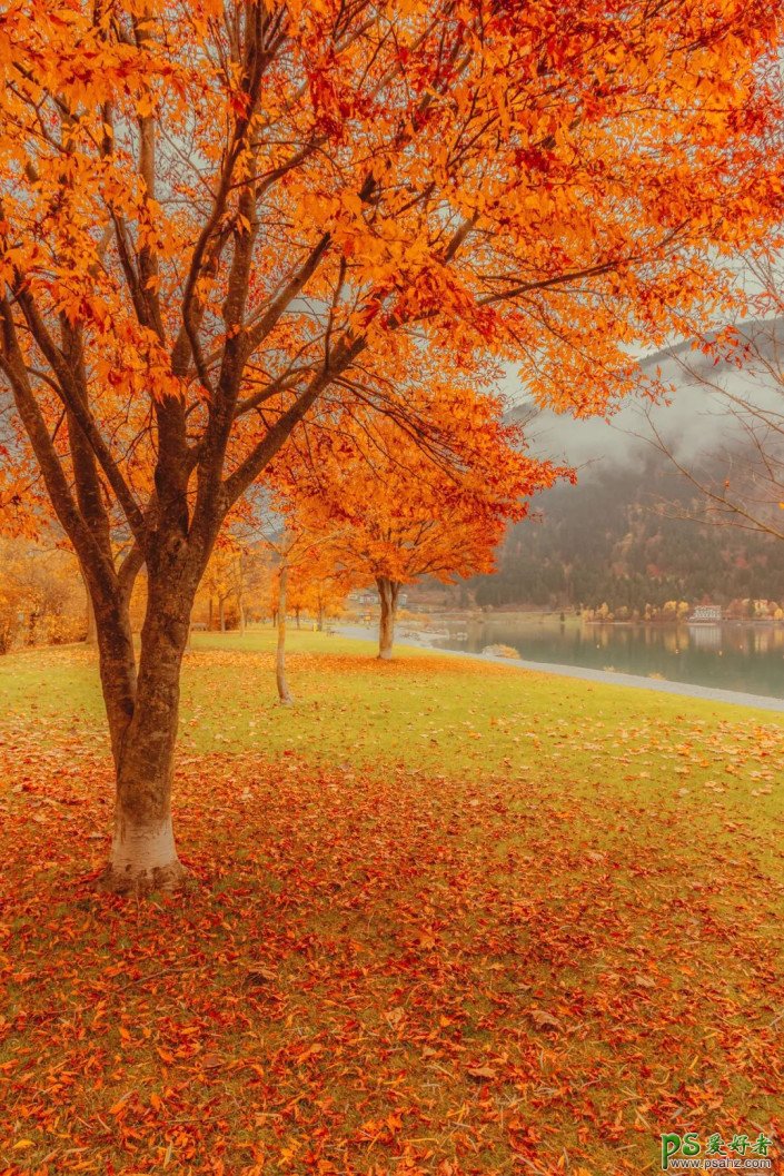 Photoshop给风景照修出金色童话风格，金色梦幻效果秋季风景照。