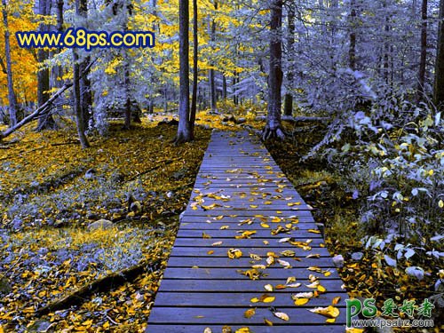 photoshop给秋季风景图片调出诡异的蓝光效果