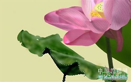 PS鼠绘教程：绘制漂亮的中国水彩水墨画荷花图