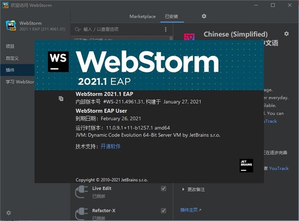 JetBrains WebStorm 2021(编程软件)
