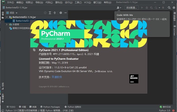 PyCharm Professional 2021(Python编程软件)